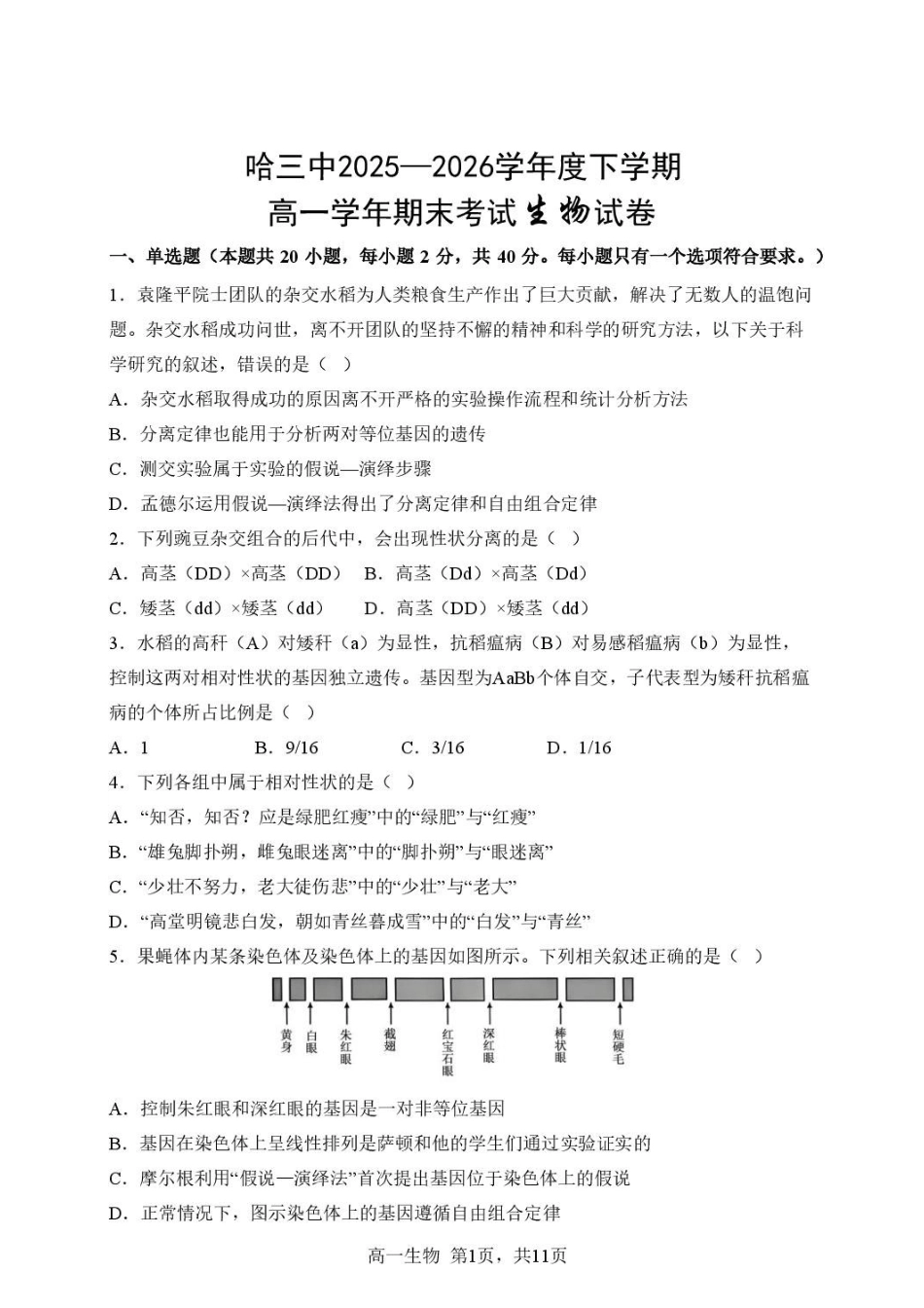 生物25-26哈三中高一下期末25-26下高一期末考试生物试卷.pdf_第1页