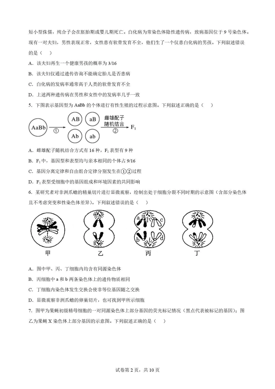 四川内江市2025-2026学年高一下学期7月期末考试生物原卷.pdf_第2页