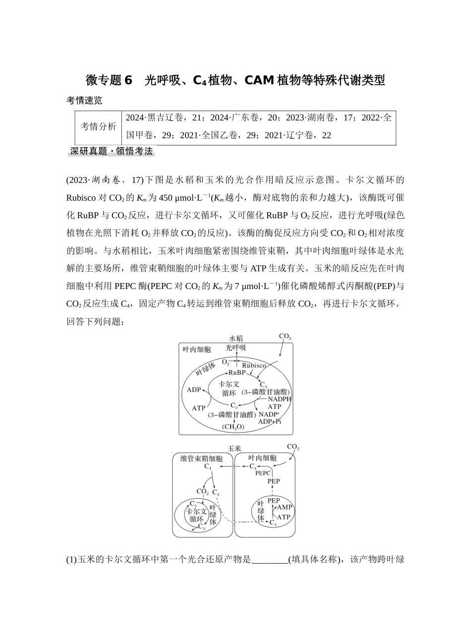 微专题6光呼吸、C4植物、CAM植物等特殊代谢类型.docx_第1页