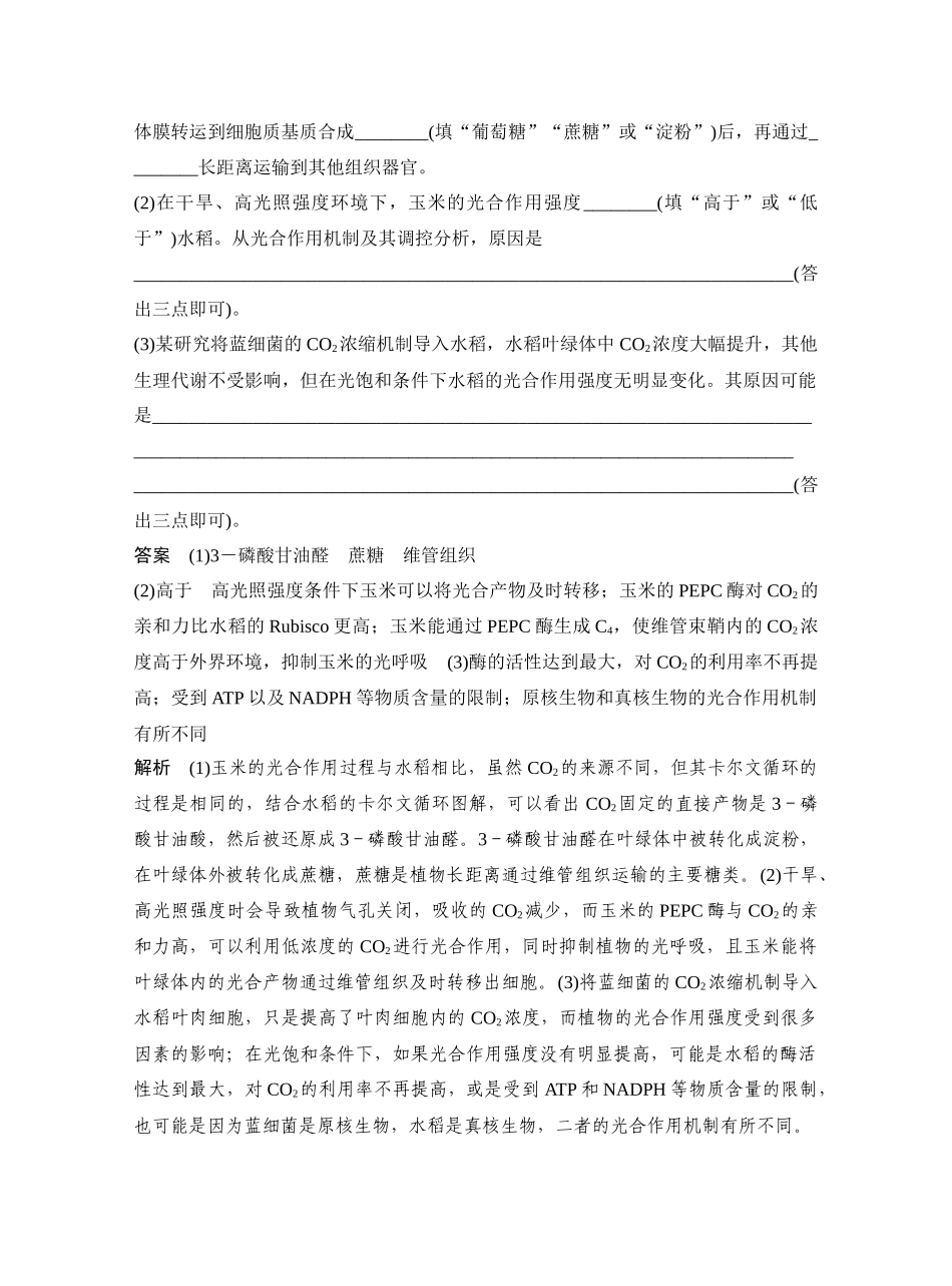 微专题6光呼吸、C4植物、CAM植物等特殊代谢类型.docx_第2页