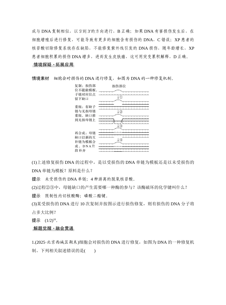 微专题9DNA损伤修复机制、DNA复制与冈崎片段和基因表达调控.docx_第2页
