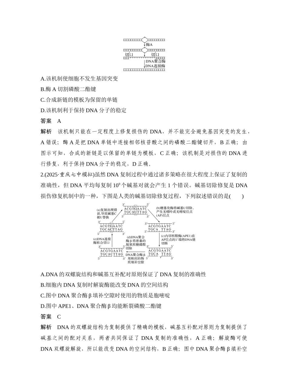 微专题9DNA损伤修复机制、DNA复制与冈崎片段和基因表达调控.docx_第3页