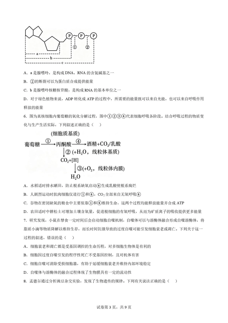 云南文山州2025—2026学年高一下学期学业质量监测生物原卷.pdf_第3页