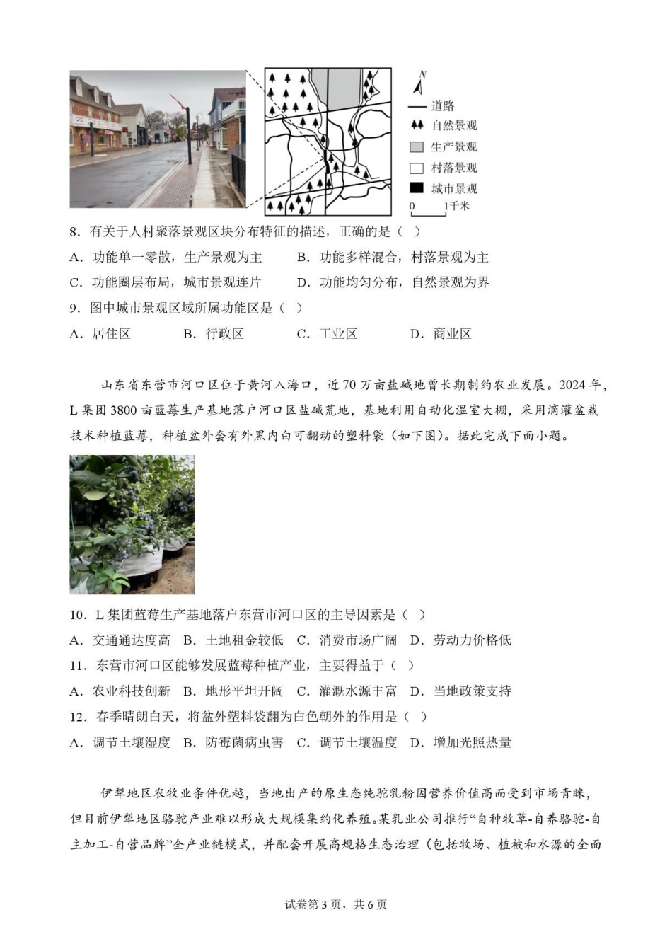 重庆市九龙坡区2025-2026学年高一下学期7月期末地理试题.pdf_第3页