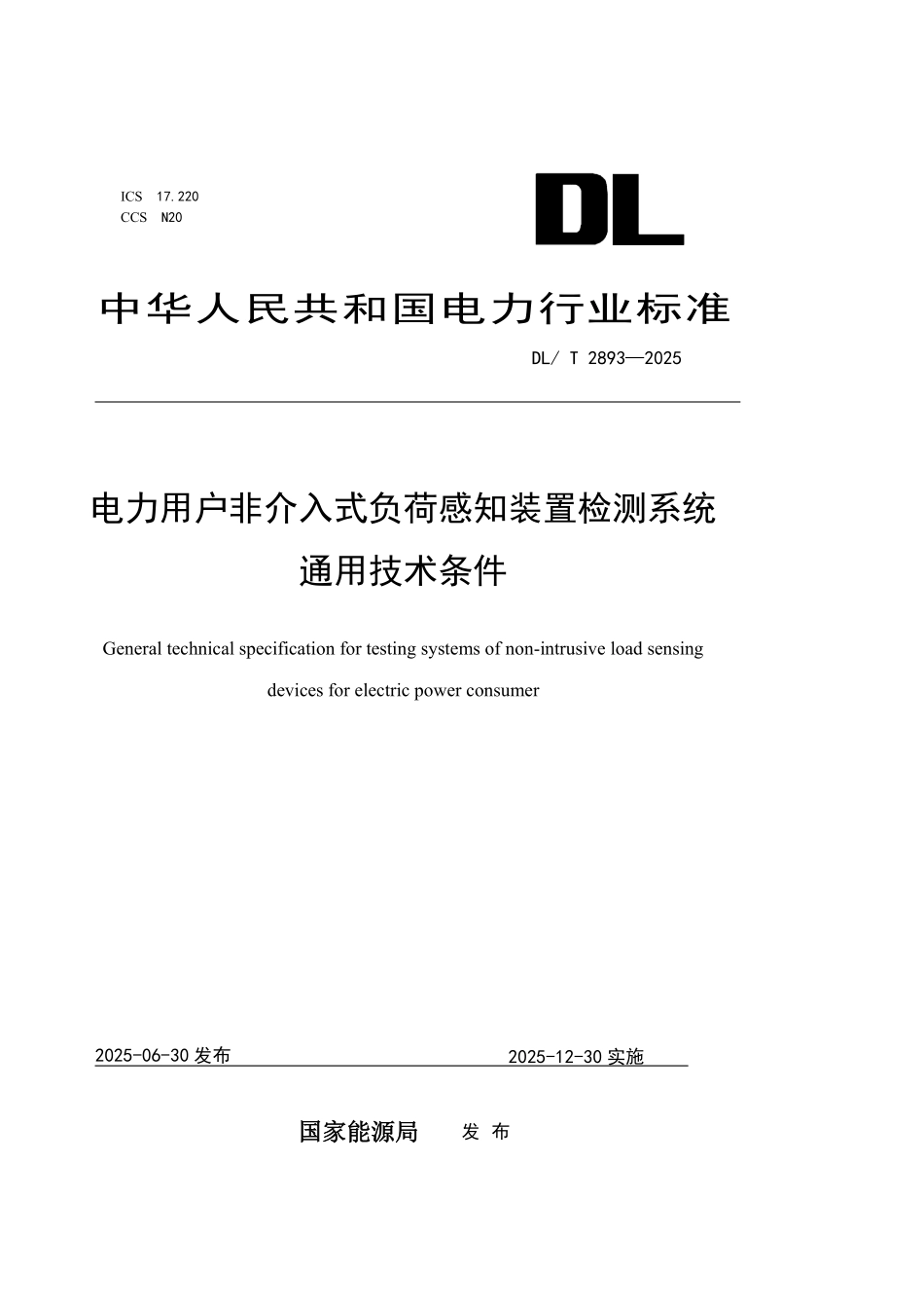DLT 2893-2025 电力用户非介入式负荷感知装置检测系统通用技术条件.pdf_第1页