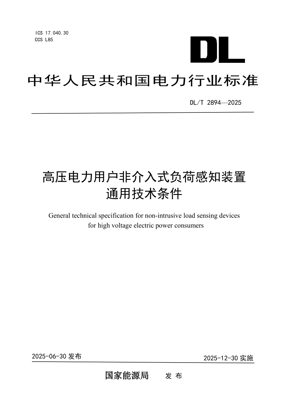 DLT 2894-2025 高压电力用户非介入式负荷感知装置通用技术条件.pdf_第1页