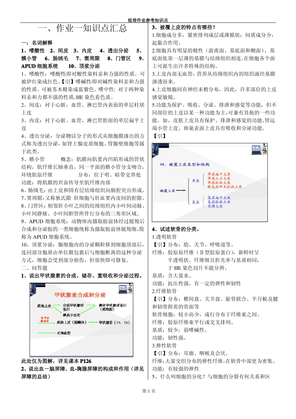 组织胚胎学 学习笔记+考试重点总结(1).pdf_第1页