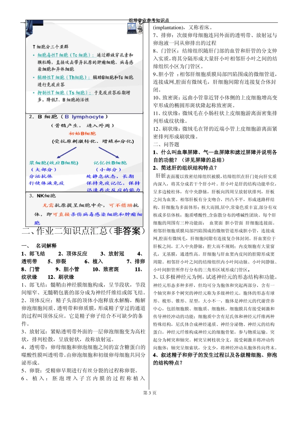 组织胚胎学 学习笔记+考试重点总结(1).pdf_第3页