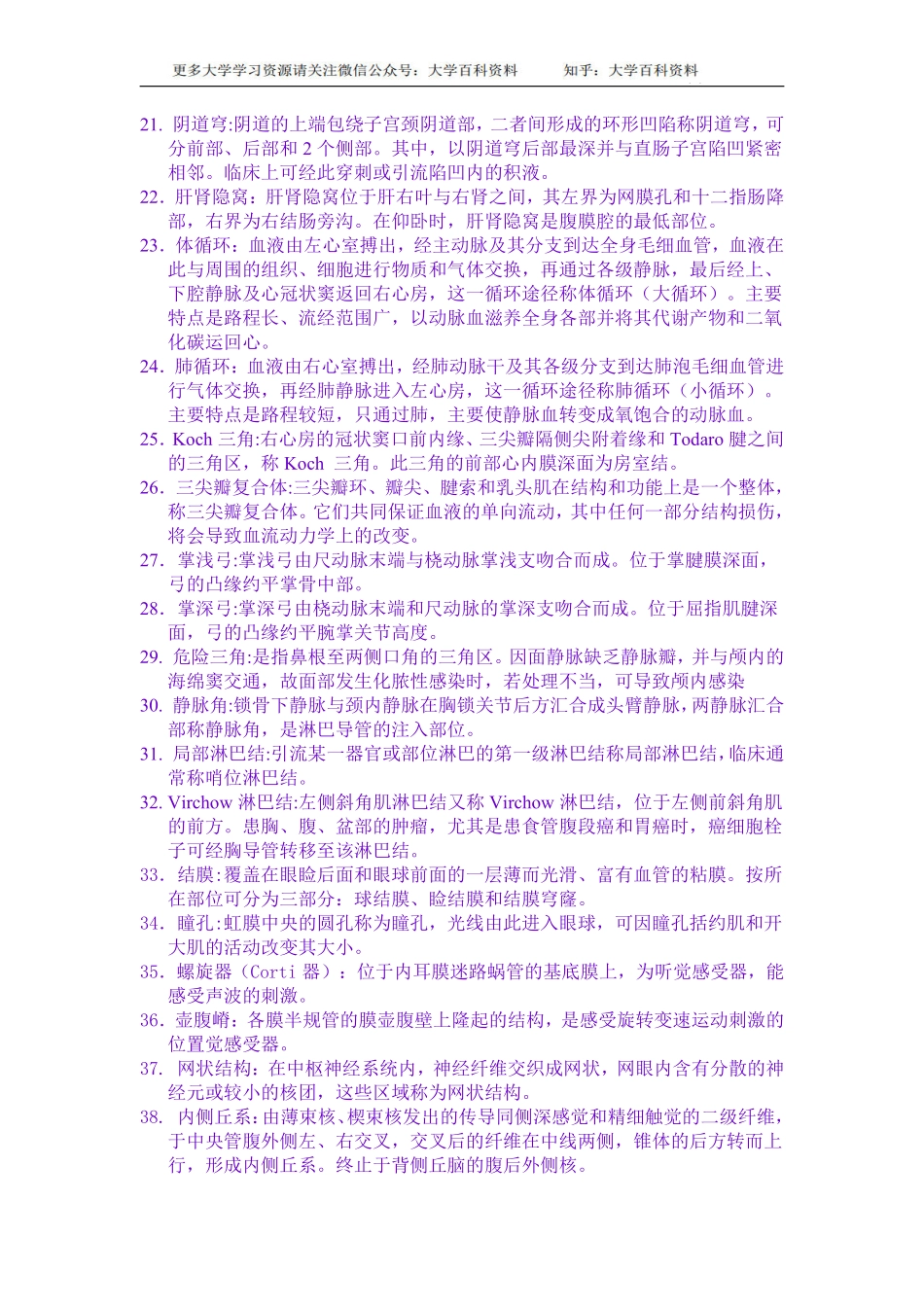 系统解剖学名词解释(重点解释)(免费).pdf_第2页