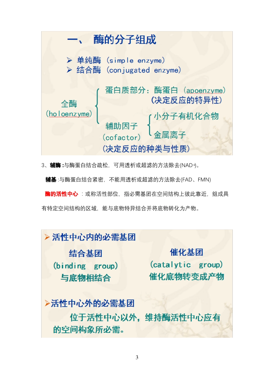 蛋白质与酶工程知识点---仅供参考.pdf_第3页