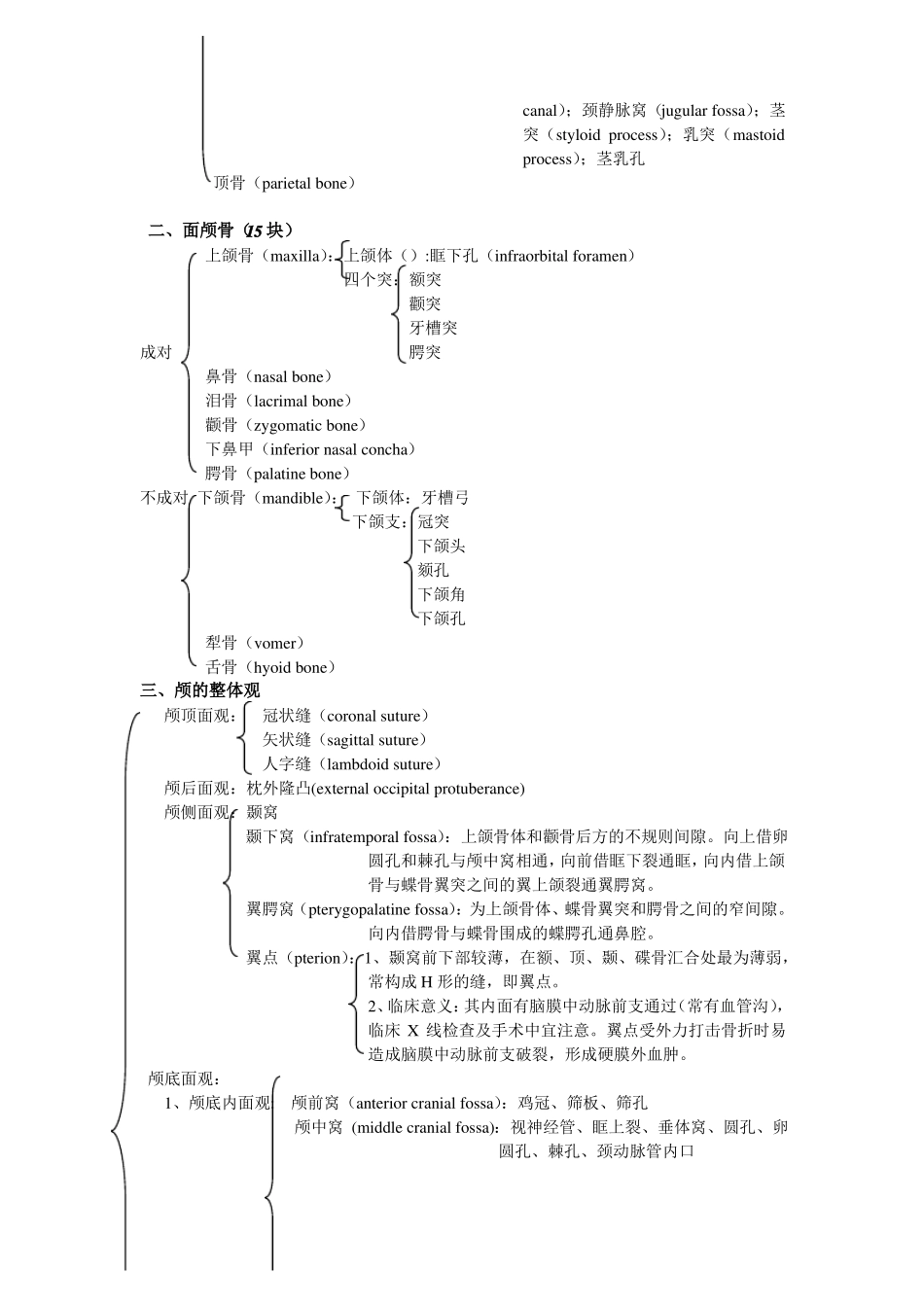 人体形态学知识点总结.pdf_第2页