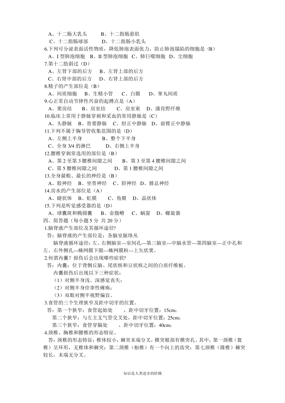 大学-解剖学基础--期末考试试卷及答案(1).pdf_第2页