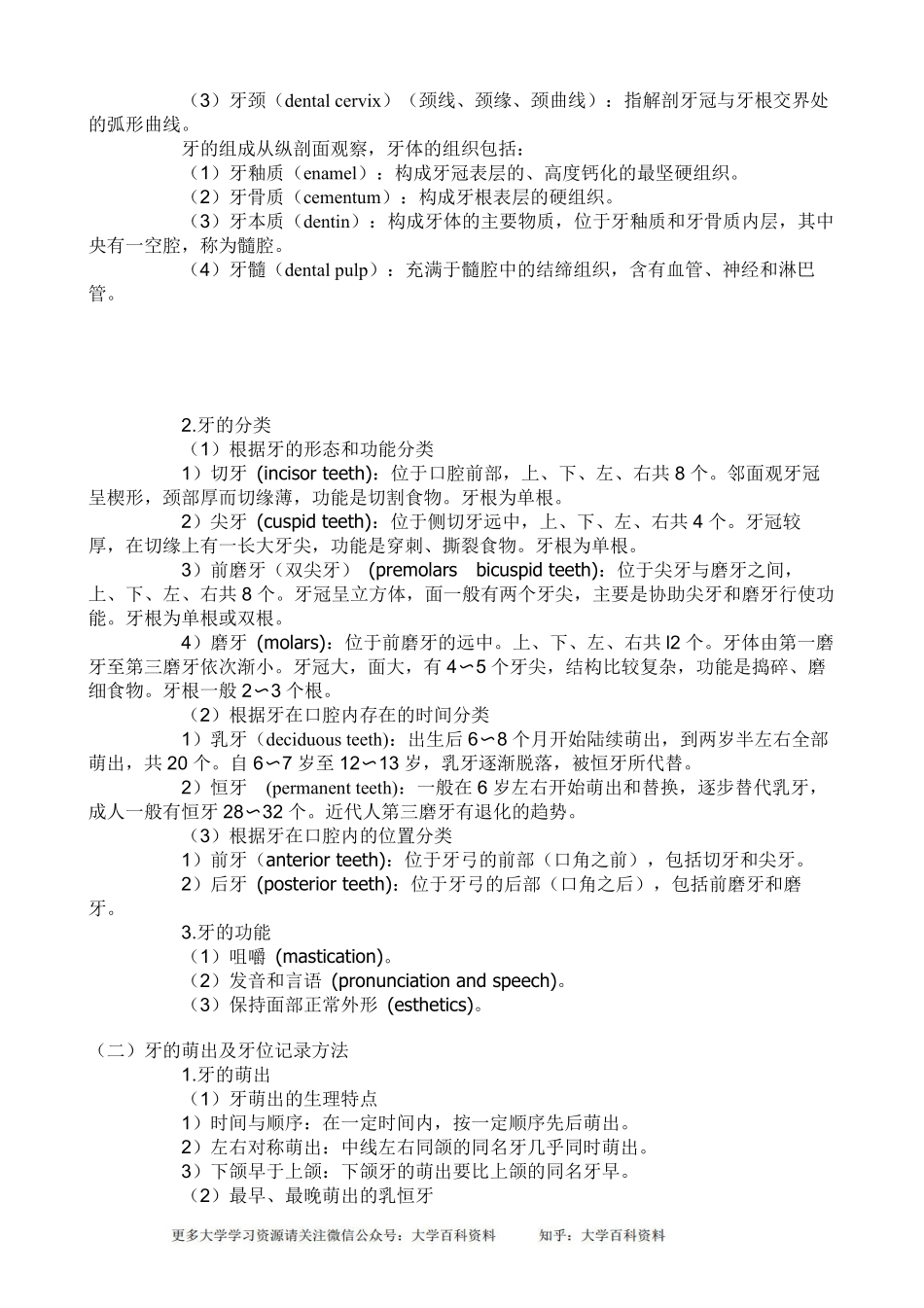 口腔解剖生理学超详细重点.pdf_第2页