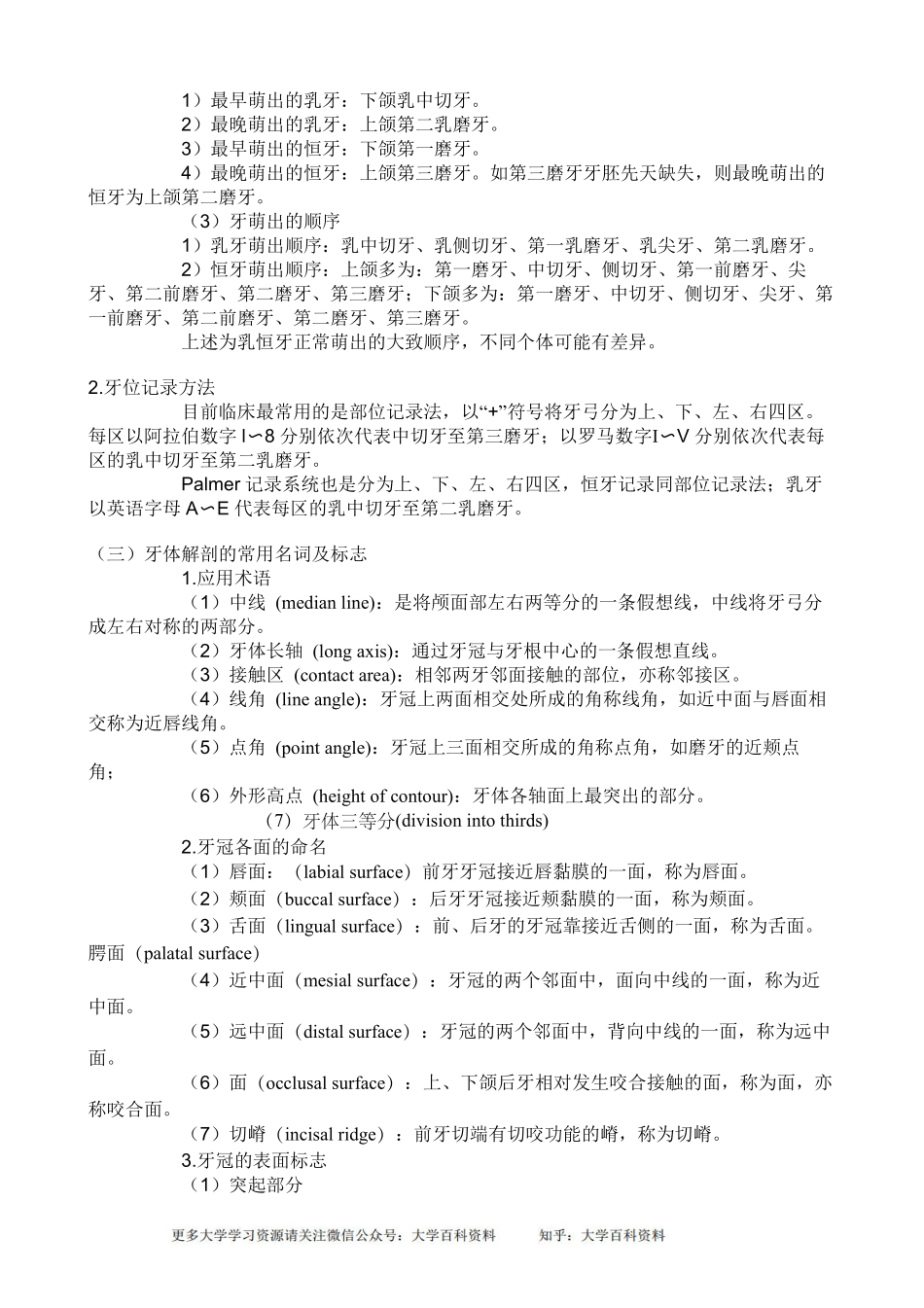 口腔解剖生理学超详细重点.pdf_第3页
