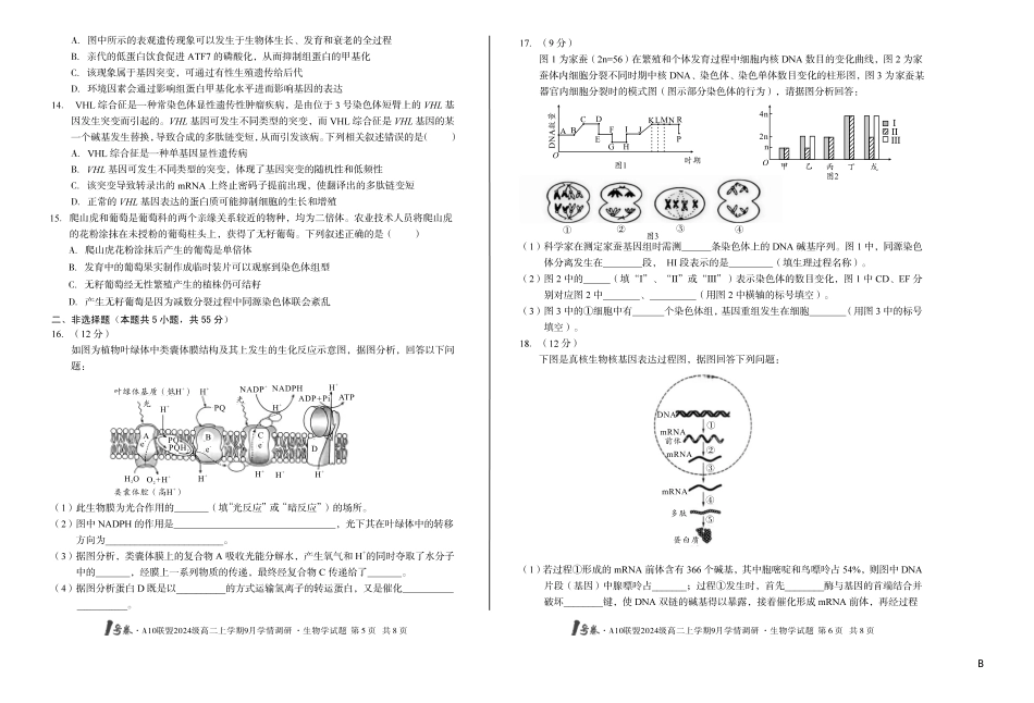 （B卷）1号卷A10联盟2024级高二上学期9月学情调研生物学B_副本.pdf_第3页