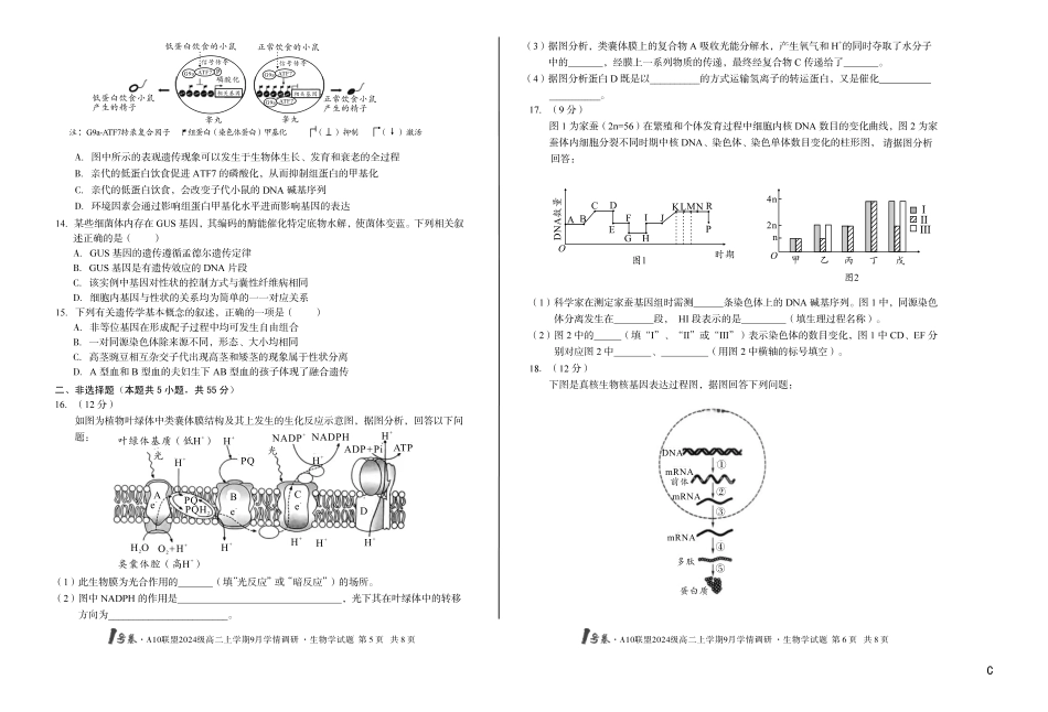 (C卷)1号卷A10联盟2024级高二上学期9月学情调研生物学C_副本.pdf_第3页