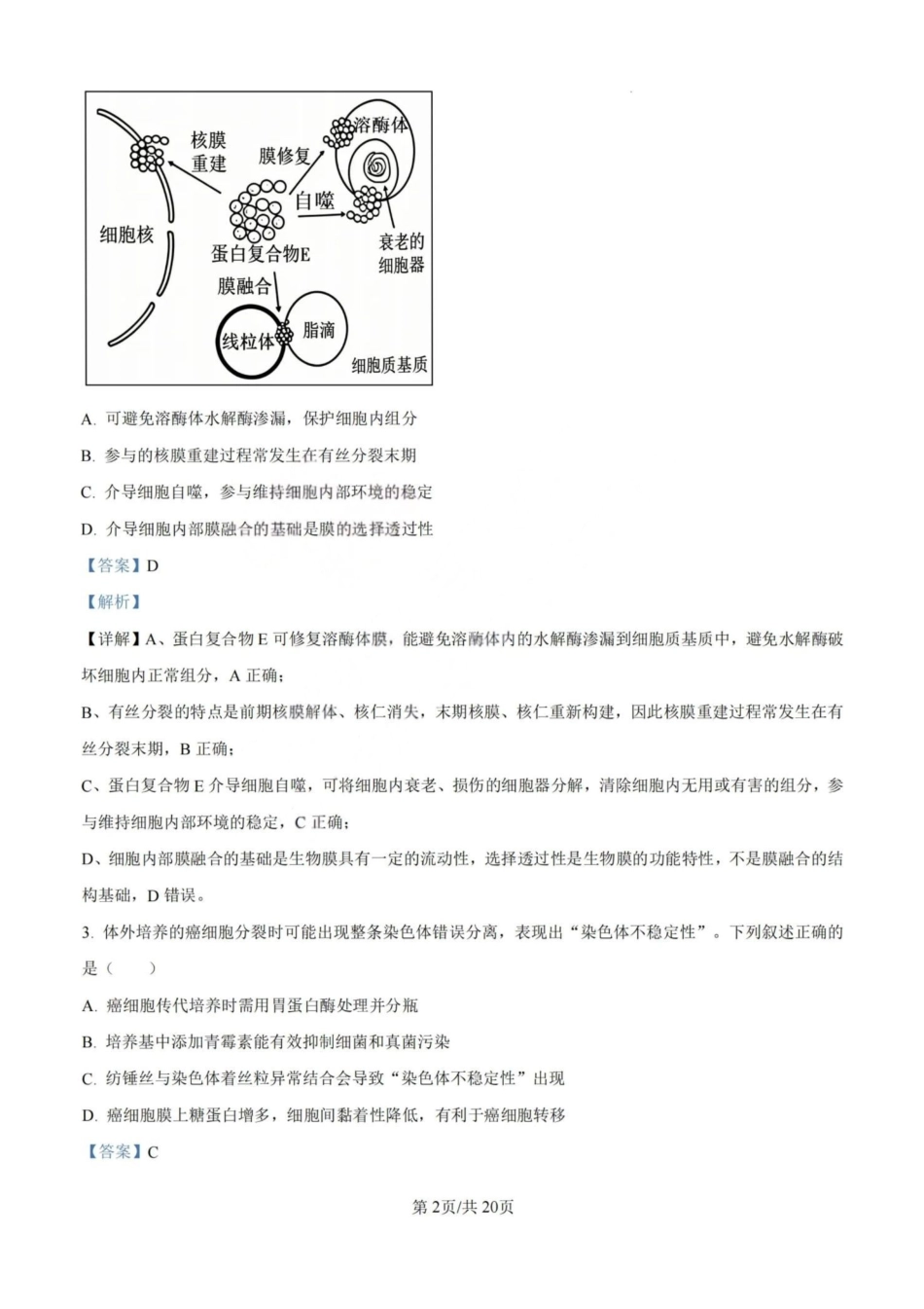 2026年高考陕晋青宁甘卷生物真题（解析版）.pdf_第2页