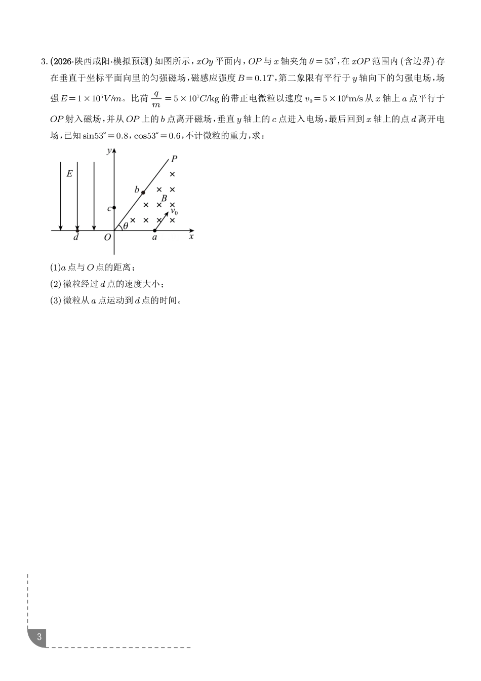 带电粒子在组合场中的运动:粒子由磁场进入电场、粒子由电场进入磁场专项训练(学生版).pdf_第3页
