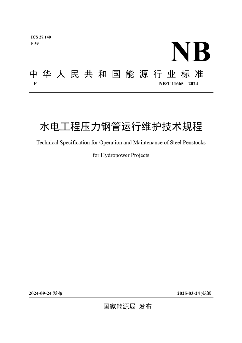 NBT 11665-2024 水电工程压力钢管运行维护技术规程.PDF_第1页