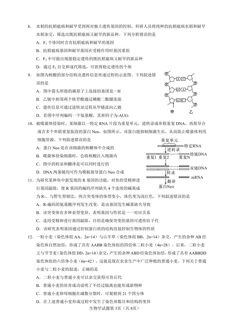 06_生物_云南玉溪一中2026-2027年高二上开学考试_试卷+答案.pdf_第3页