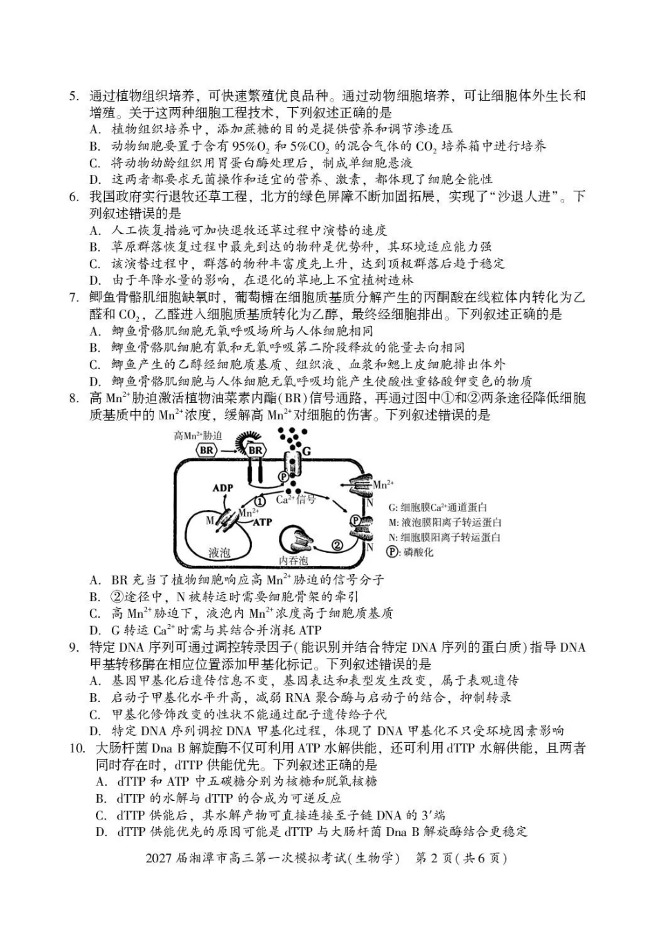 2027届湘潭市高三第一次模拟考试生物.pdf_第2页