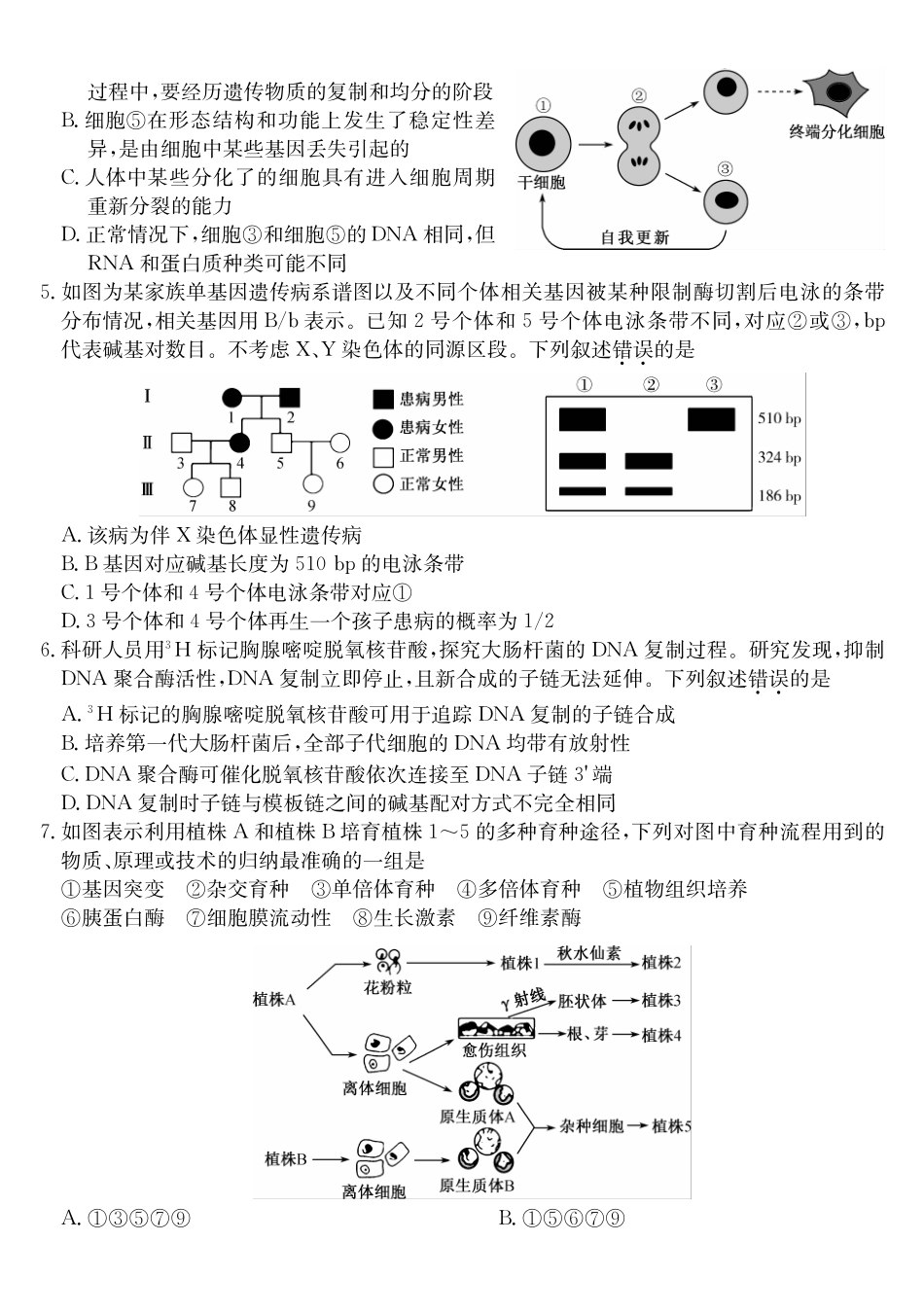 安徽十联考2027届高三上学期第一次教学质量测评生物.pdf_第2页