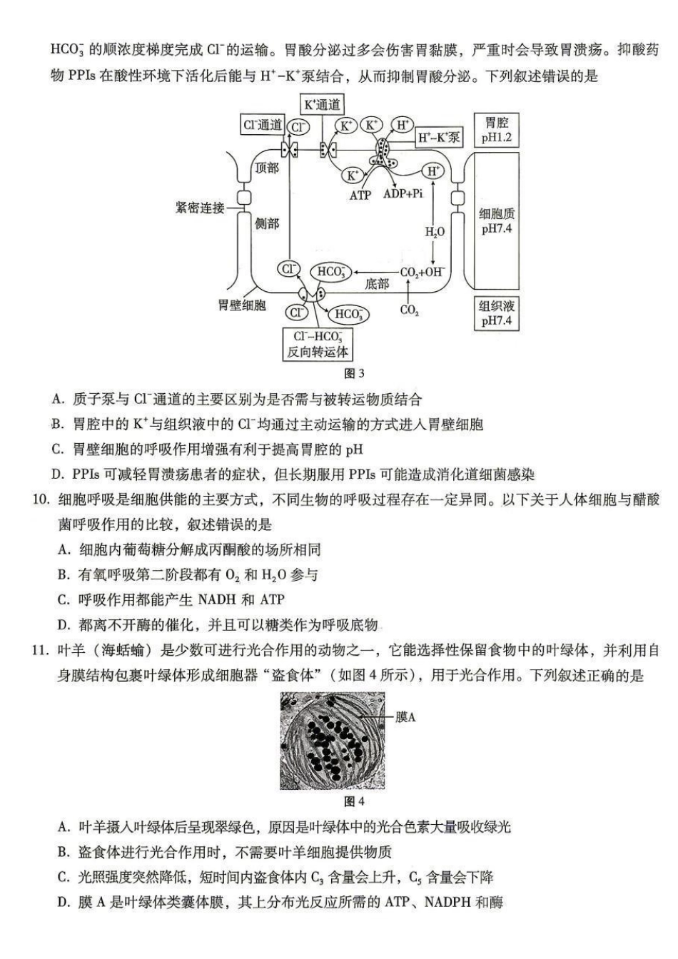 巴蜀中学高2027届8月适应性月考(一)生物.pdf_第3页