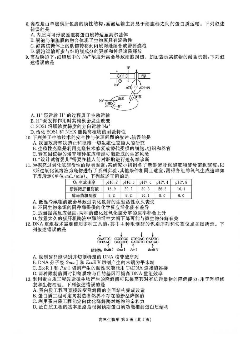 点石联考2027届高三期初学情调研生物.pdf_第2页