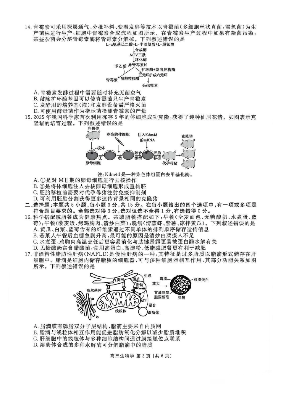 点石联考2027届高三期初学情调研生物.pdf_第3页