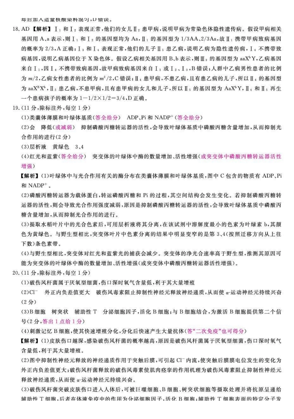 金科大联考2027届高三上学期9月联考生物答案.pdf_第3页