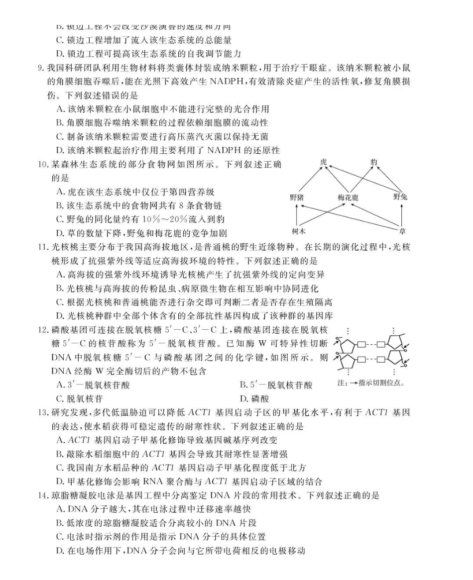 强基联盟2026年高三8月题库生物.pdf_第2页