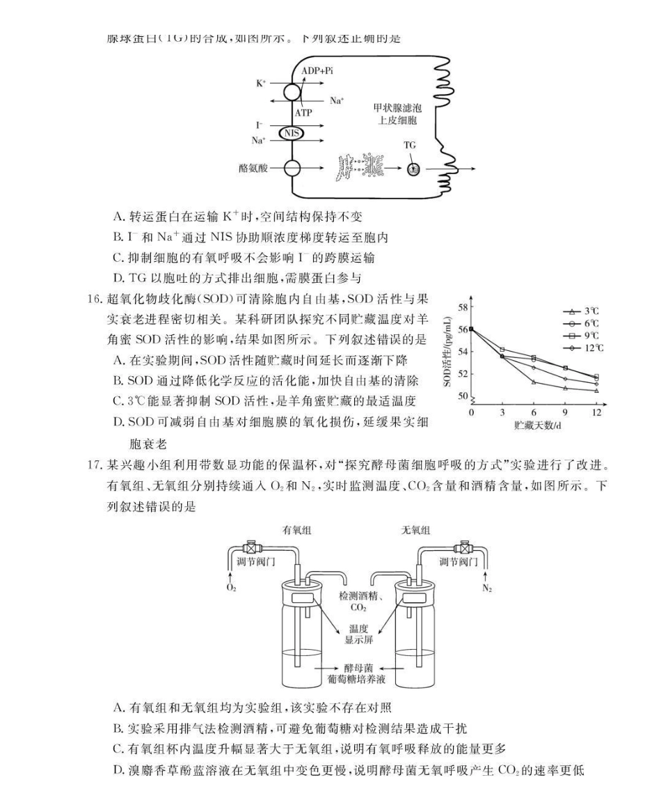 强基联盟2026年高三8月题库生物.pdf_第3页