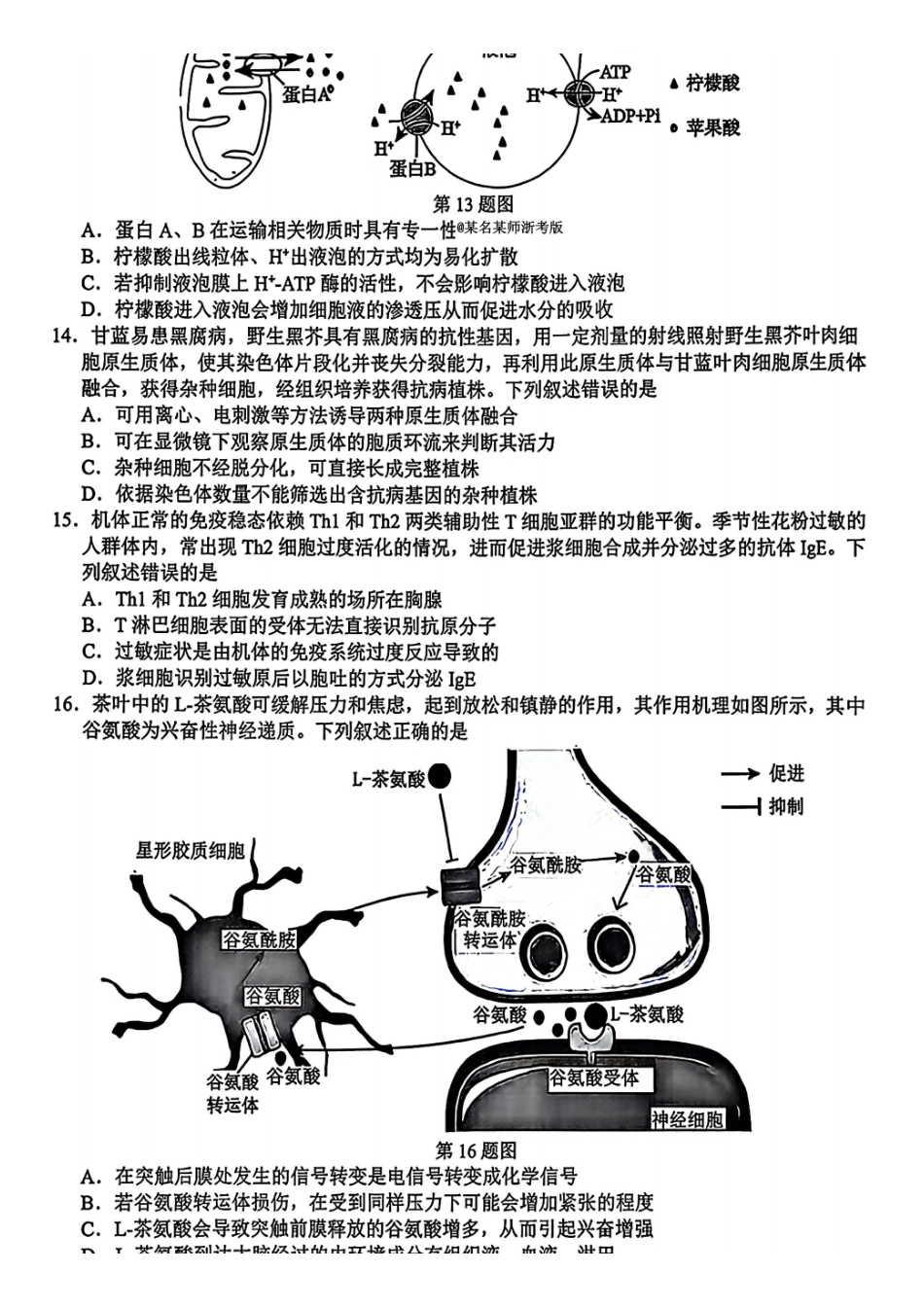 生物【难度拉爆】浙江G12名校协作体2027届高三年级9月返校联考(9.1-9.2).pdf_第3页