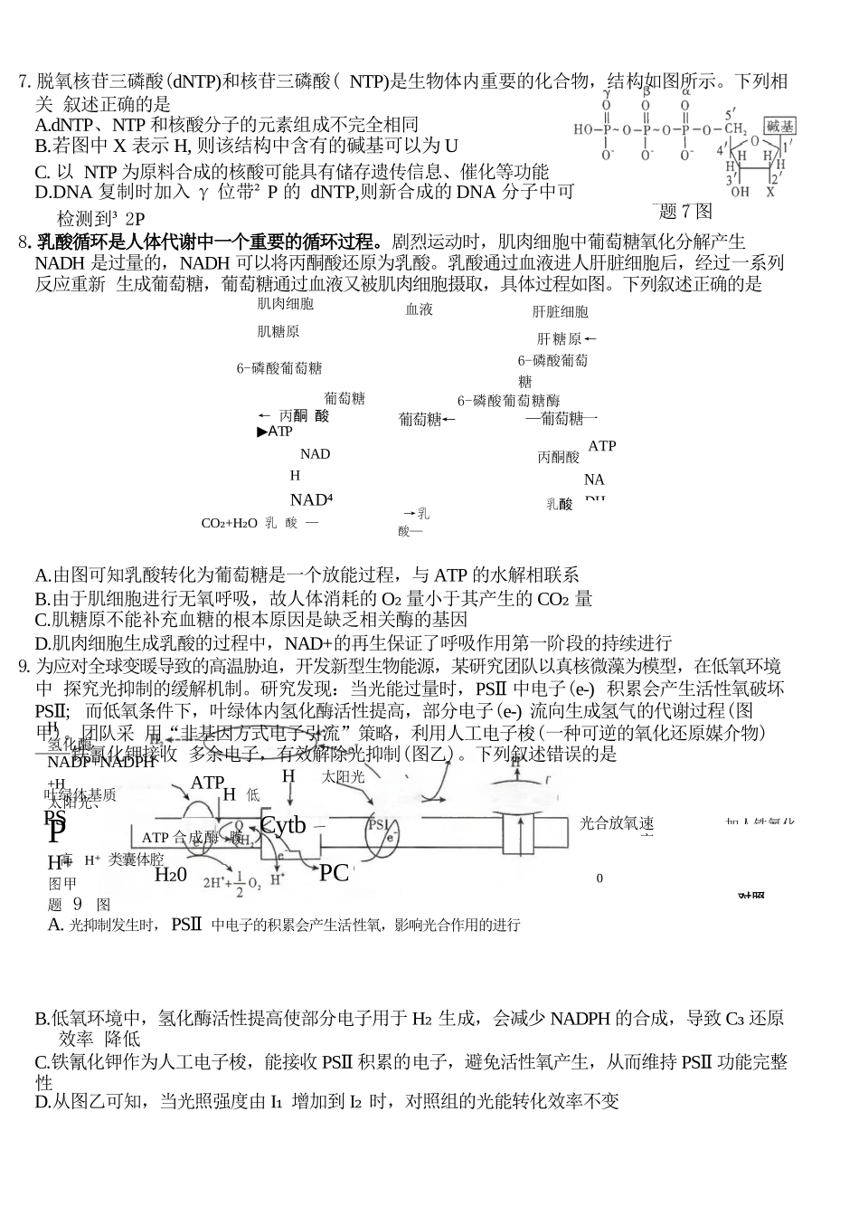 生物【全国Top50强校】重庆市南开中学高2027届高三年级8月质量检测暨开学考(8.31-9.1).docx_第3页
