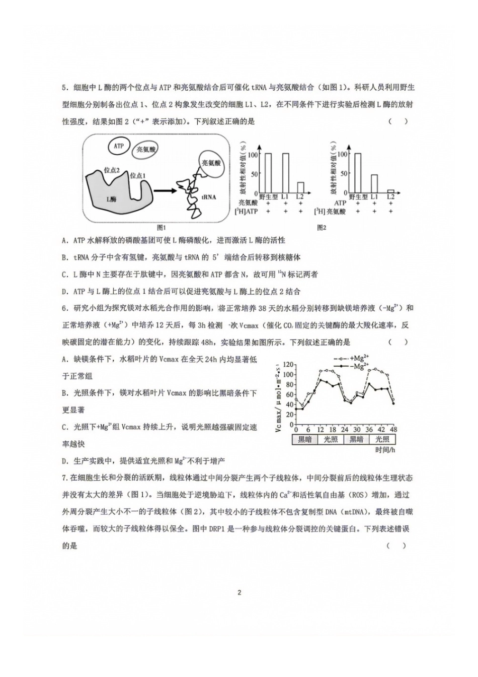 生物【中国第七高中】四川成都市第七中学校2027届高三年级8月开学考试(8.27-8.28).docx_第2页