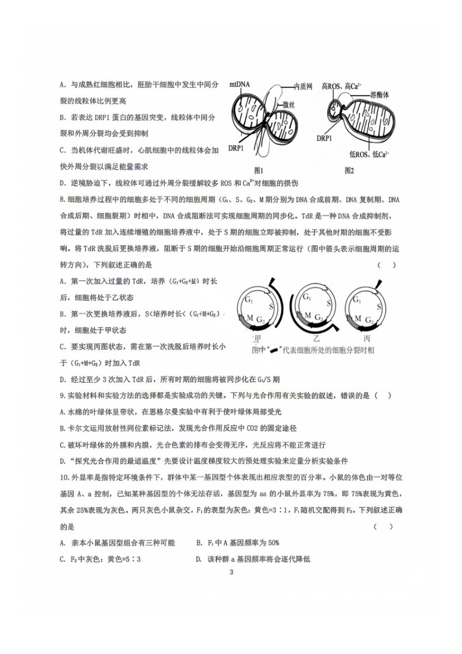 生物【中国第七高中】四川成都市第七中学校2027届高三年级8月开学考试(8.27-8.28).docx_第3页
