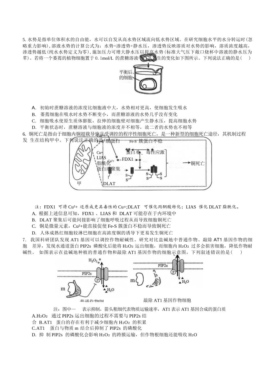生物【重庆七龙珠】重庆市育才中学校高2027届高三(上)质量检测(一)(9.2-9.3).docx_第2页