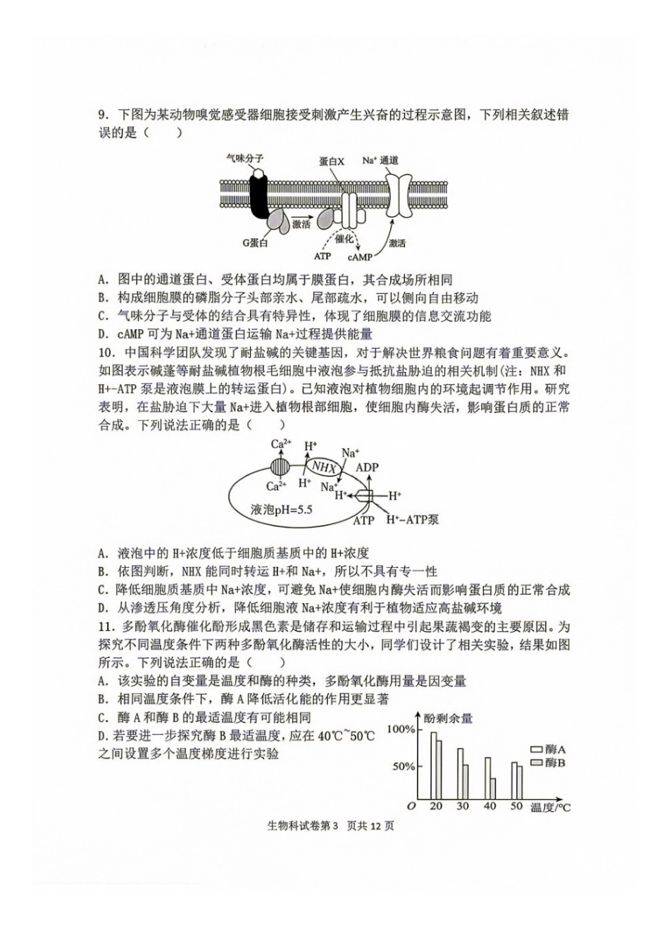 生物+答案【中国第十高中】吉林长春市东北育才高中2027届高三年级第一次模拟考试(9.4-9.5).docx_第3页