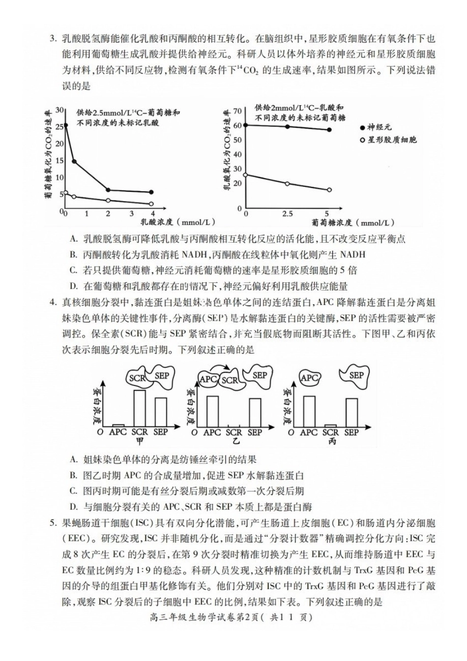 生物+答案安徽蚌埠市2027届高三年级调研性监测暨开学联考(8.27-8.28).docx_第2页