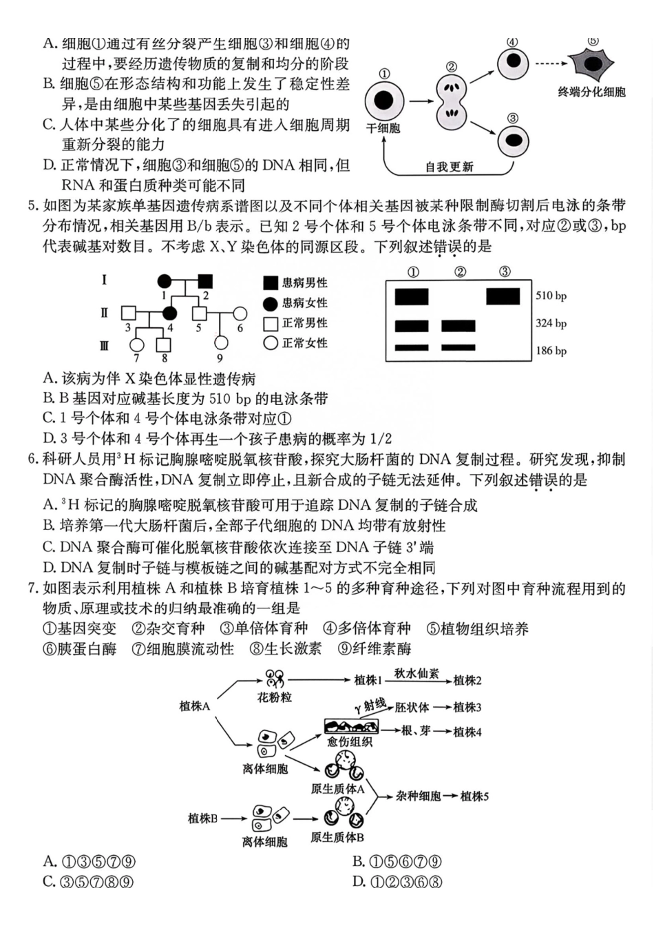 生物+答案安徽十联考2027届高三年级第一次教学质量测评暨8月开学联考(8.25-8.26).pdf_第2页
