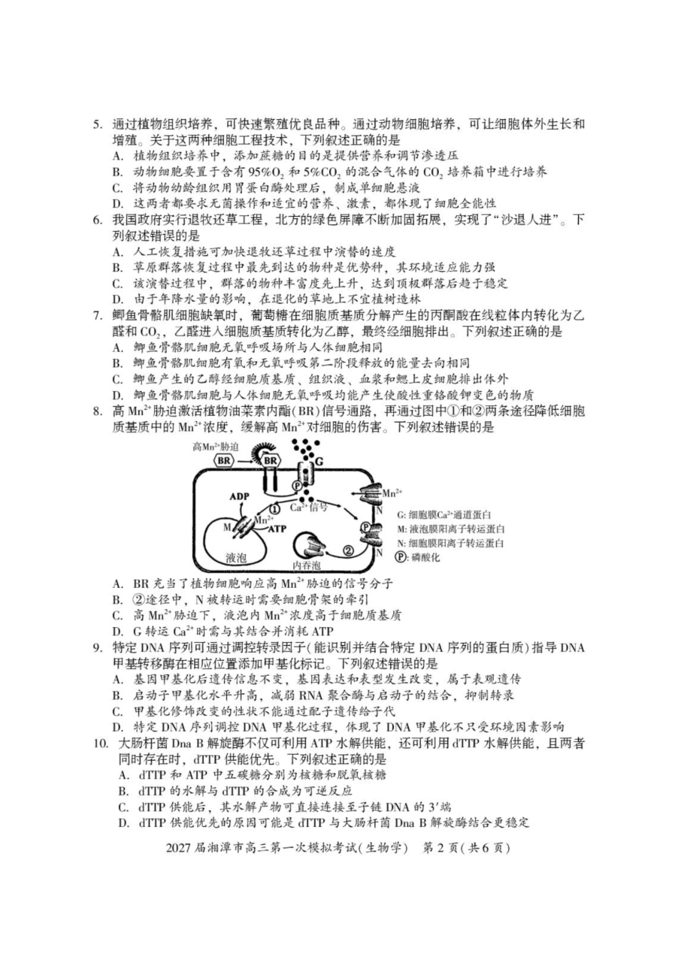 生物+答案湖南湘潭市2027届高三年级第一次模拟考试(湘潭一模)(8.29-8.30).pdf_第2页