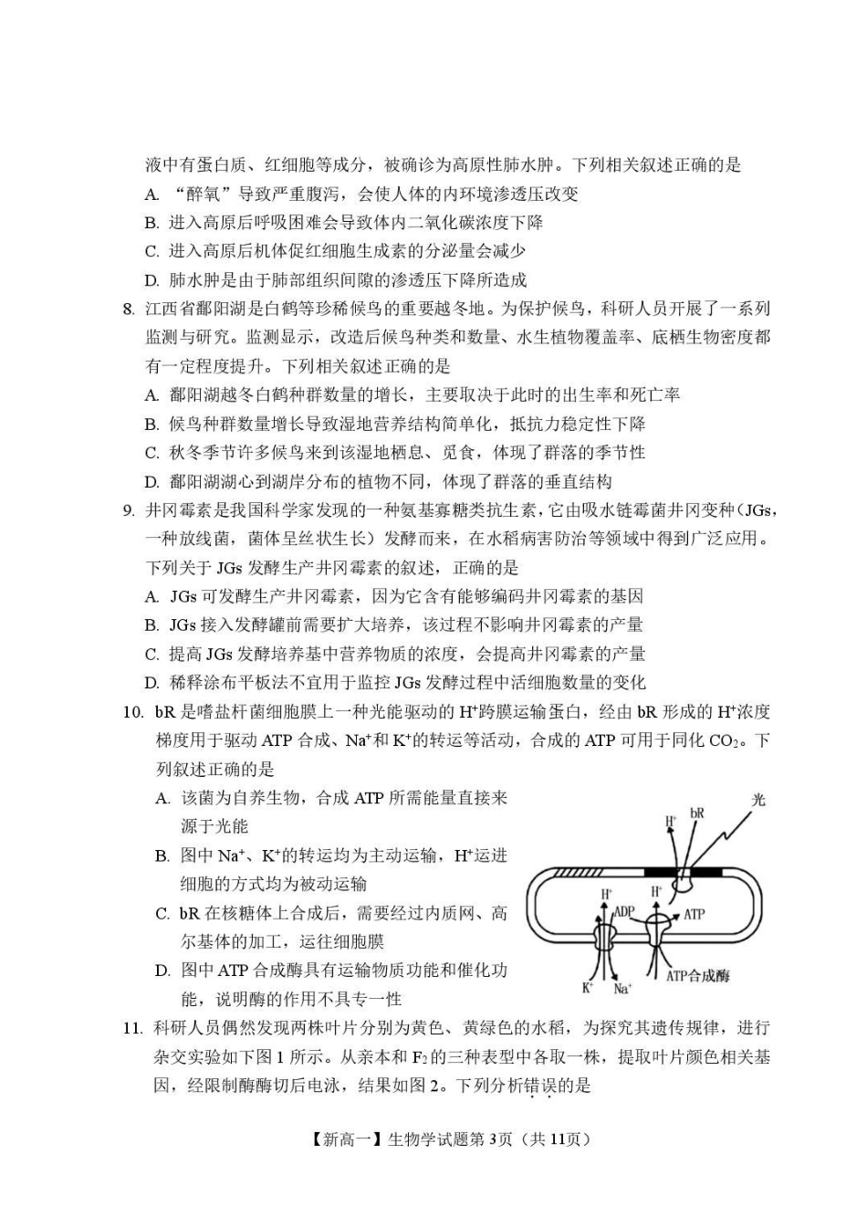 生物+答案江西2026年新高三暑假学习质量诊断(8.29-8.30).pdf_第3页