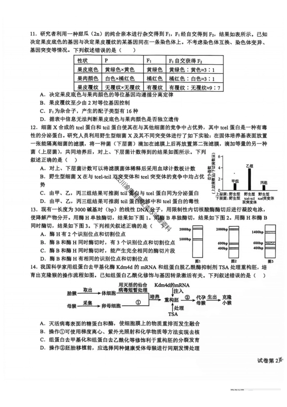 生物+答案四川成都市树德中学(九校)高2024级(2027届)高三年级上学期开学考试(8.30-8.31).pdf_第3页