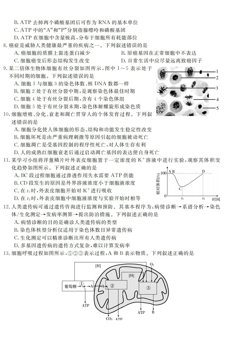 生物卷-2609高二强基联盟.pdf_第2页