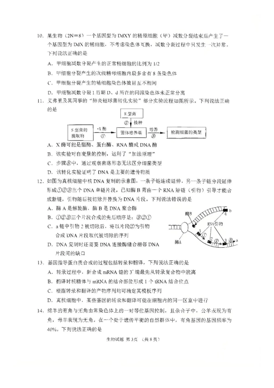 生物山东(潍坊市)九五协作2027届高三年级9月学习质量综合评估暨开学考(9.1-9.2).docx_第3页
