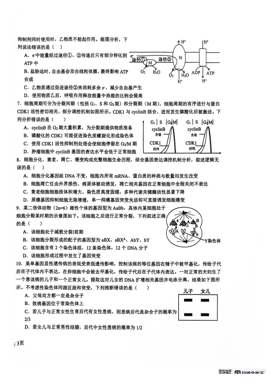 树德中学2026-2027学年高三上学期开学考试生物+答案.pdf_第2页