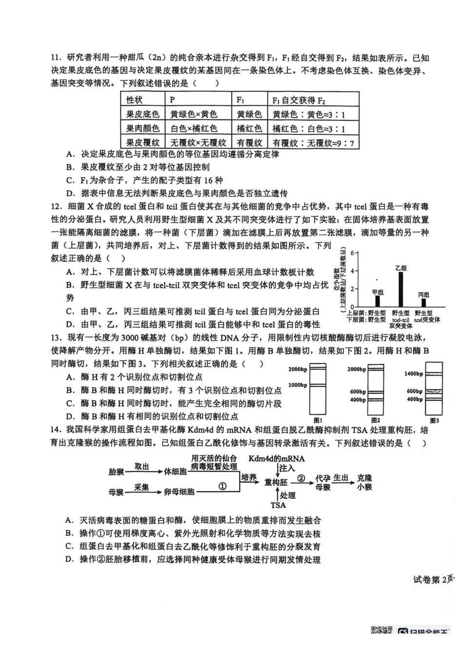 树德中学2026-2027学年高三上学期开学考试生物+答案.pdf_第3页