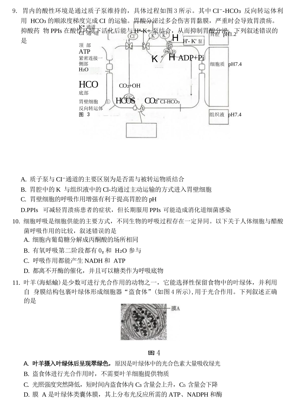 生物【全国Top50强校】重庆市巴蜀中学高2027届高三年级8月适应性月考（一）(8.29-8.30).docx_第3页