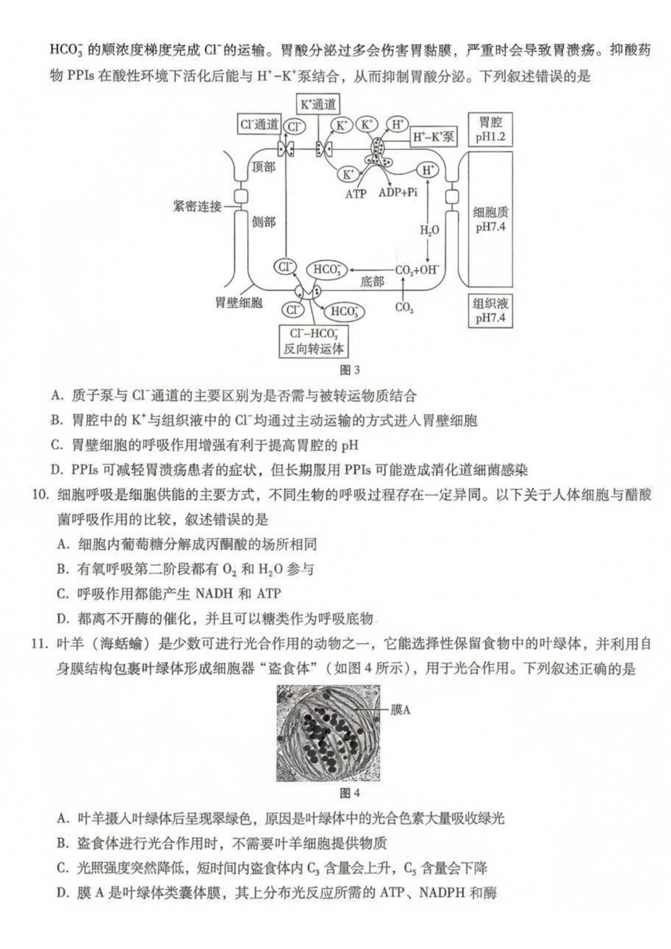 生物【全国Top50强校】重庆市巴蜀中学高2027届高三年级8月适应性月考(一)(8.29-8.30).pdf_第3页