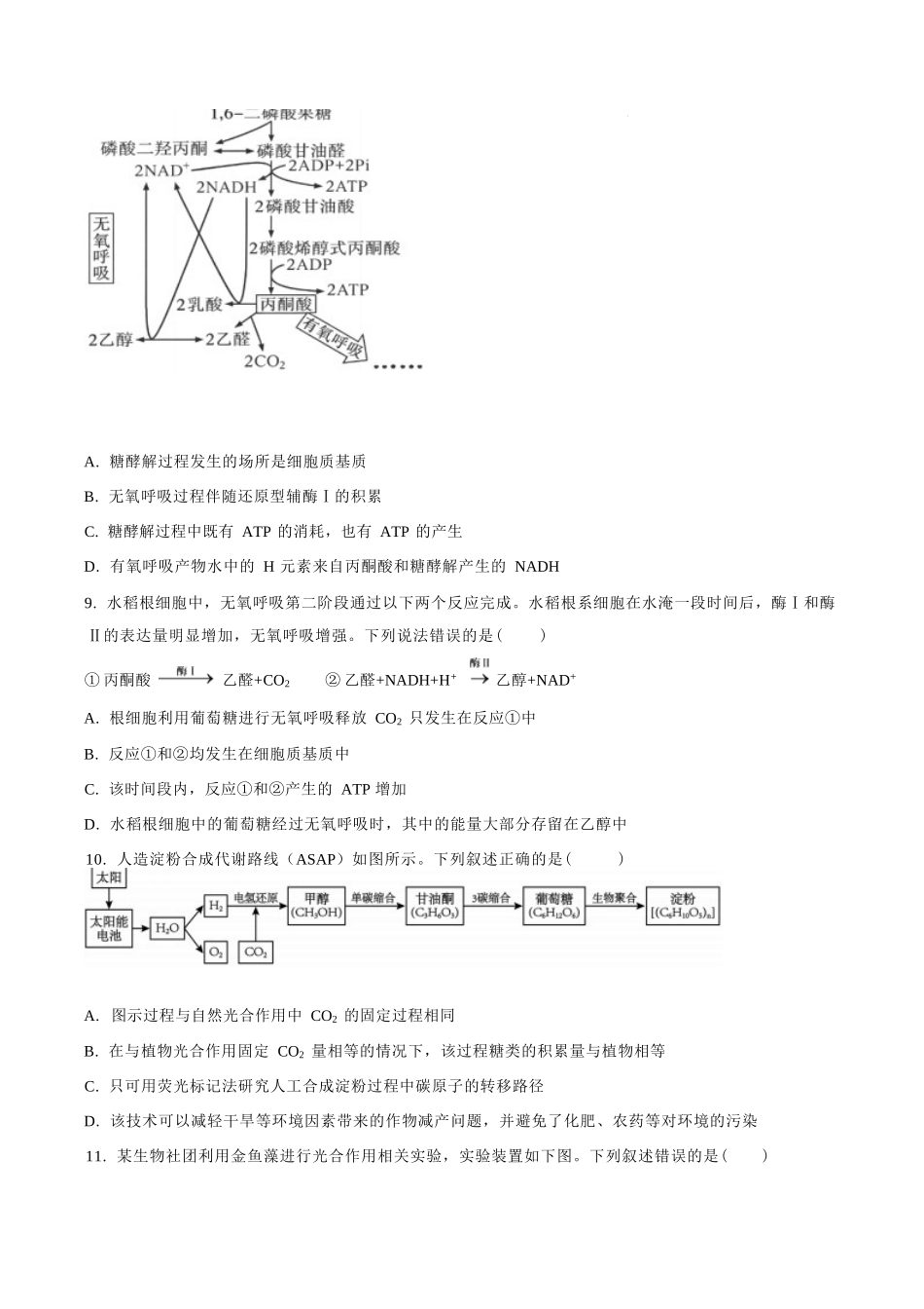 生物哈尔滨市第六中学校2026-2027年高三学年阶段性测试(一)(9.3-9.4).docx_第3页